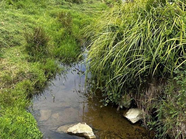 Property for sale in Auckland, Oroua County