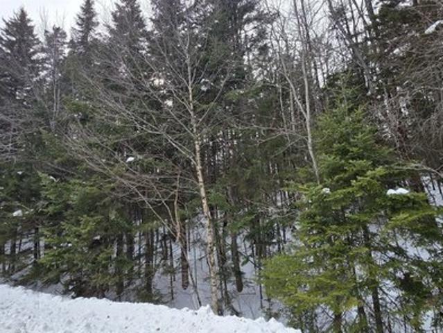 Land for sale in West Dover, Vermont