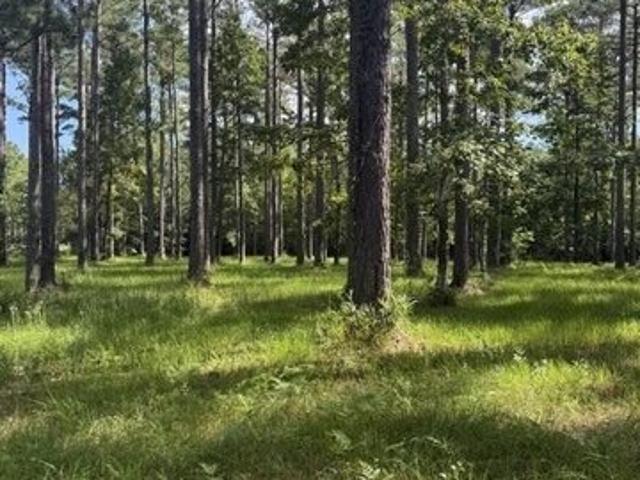 Land for sale in Oriental, Pamlico County