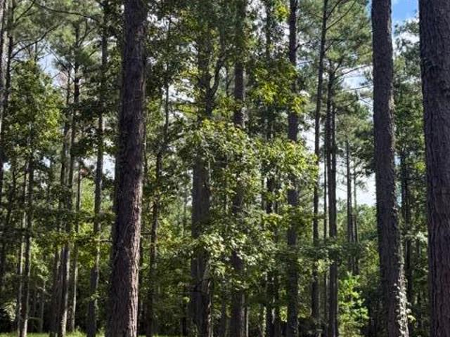 Land for sale in Oriental, Pamlico County
