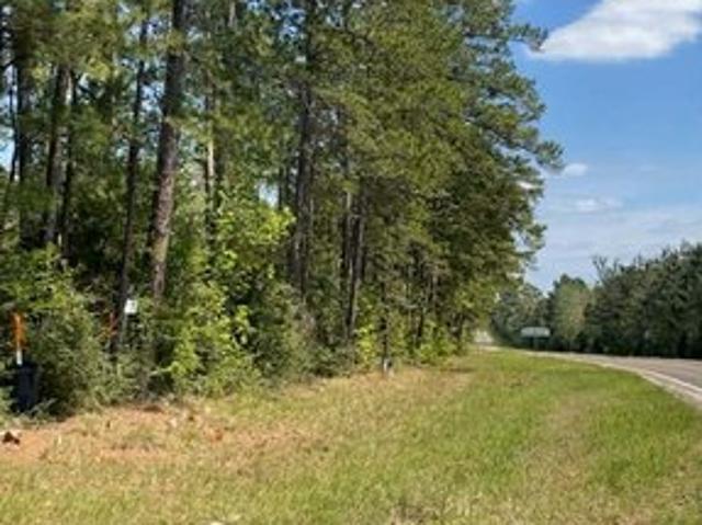 Land for sale in Broaddus, Texas