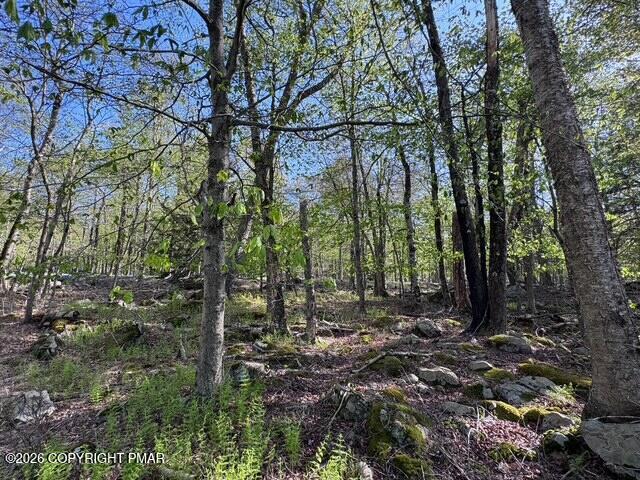 Land for sale in Newfoundland, Pennsylvania