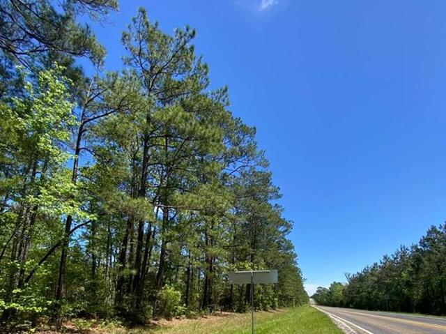 Land for sale in Broaddus, Texas