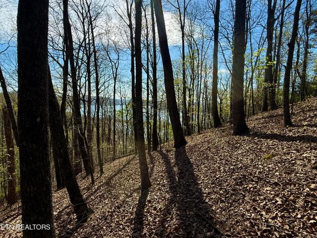 Land for sale in Tennessee