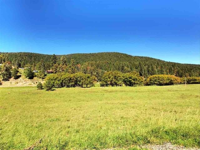 Land for sale in Cloudcroft, New Mexico