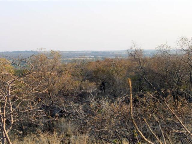 Farm for sale in Limpopo