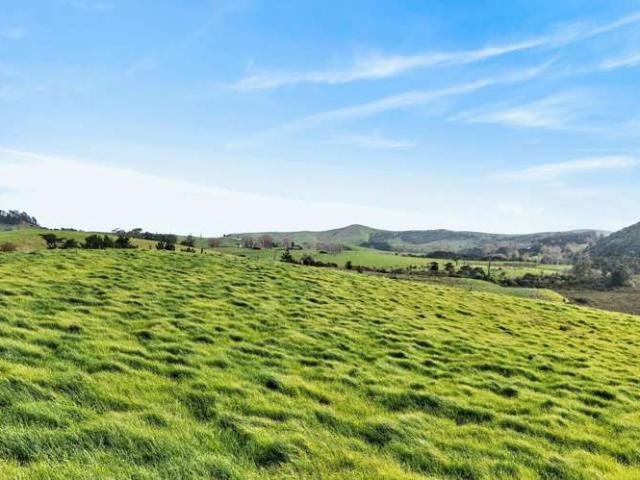 Land for sale in Tinopai, Northland