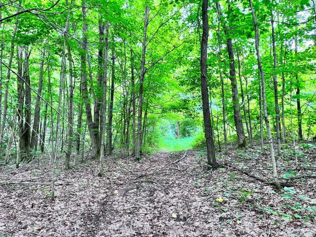 Land for sale in Dufferin, Ontario