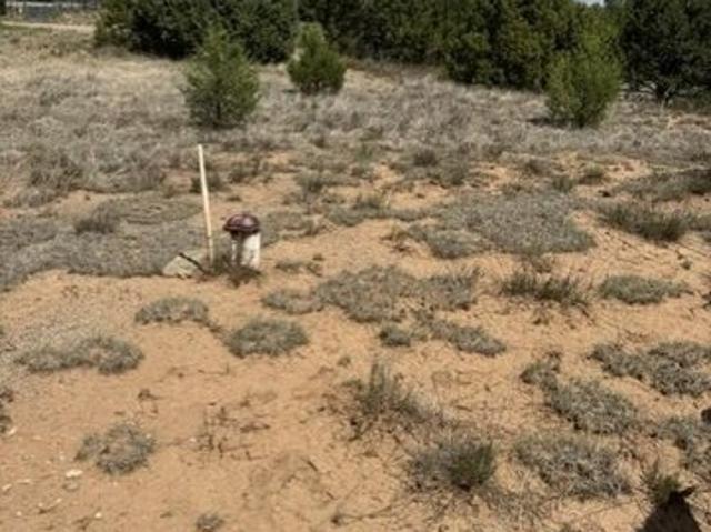 Land for sale in Tijeras, Bernalillo County