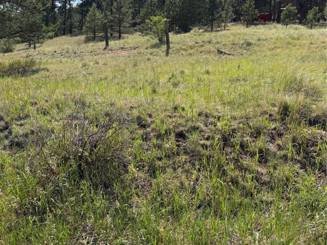 Land for sale in Teller, Colorado