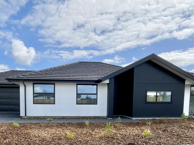 House for rent in Belfast, Christchurch