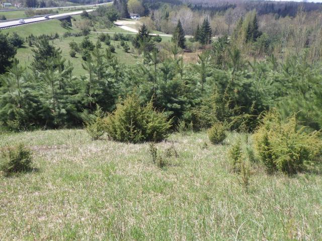 Land for sale in Michigan