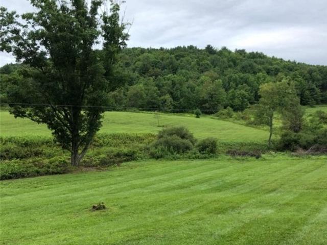 Land for sale in Sidney, New York