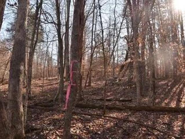 Land for sale in Somerset, Kentucky