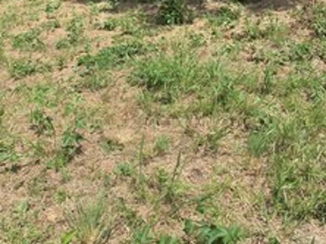 Land for sale in Ark