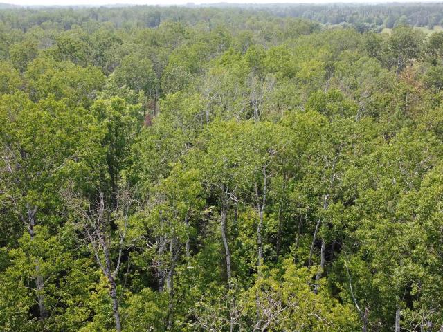 Land for sale in Maple, Wisconsin