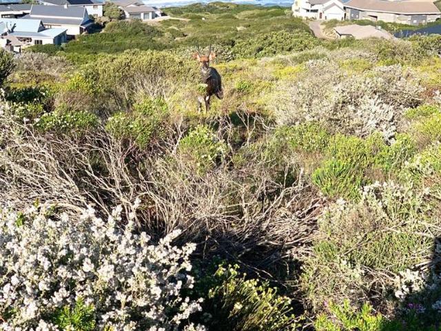 Property for sale in Groot Brak Rivier, Western Cape