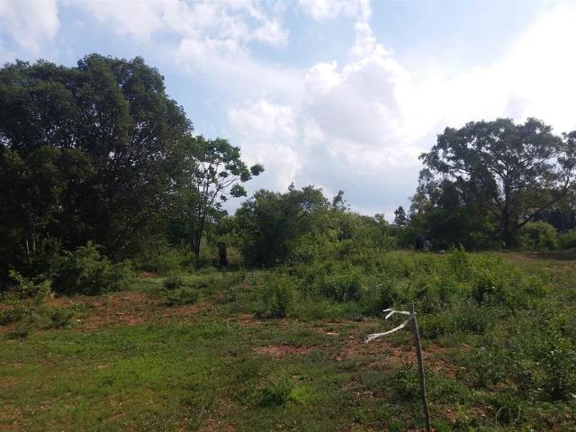 Property for sale in Gauteng