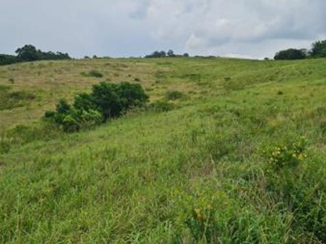 Property for sale in Princess Grant, Kwazulu-natal