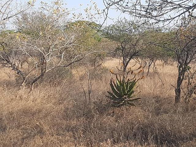Property for sale in Komatipoort, Nkomazi