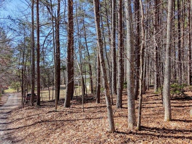 Land for sale in Blairsville, Georgia