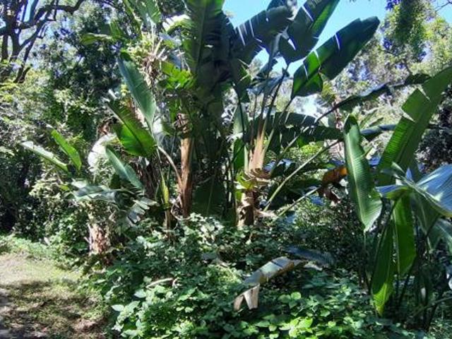 Property for sale in Ugu District Municipality, Kwazulu-natal