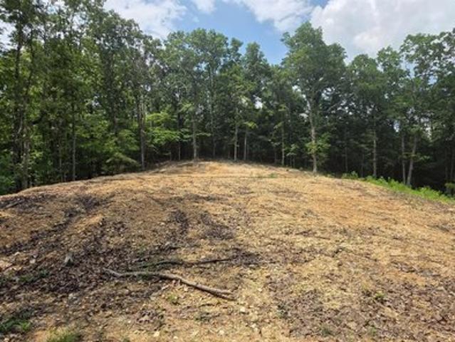 Land for sale in Valley Head, Alabama