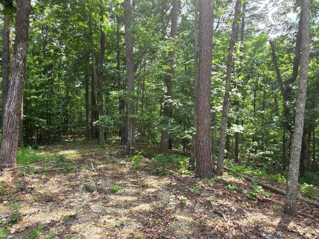 Land for sale in Valley Head, Alabama