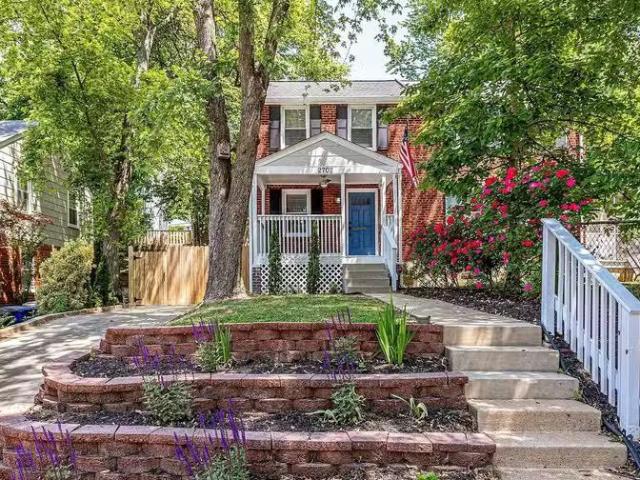 House for rent in Alexandria House for rent in Alexandria