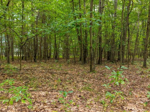 Land for sale in Casco Township, Allegan County