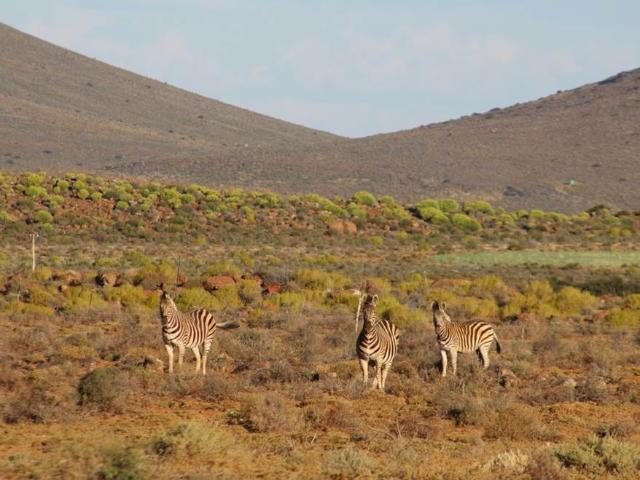 Property for sale in Hantam, Northern Cape