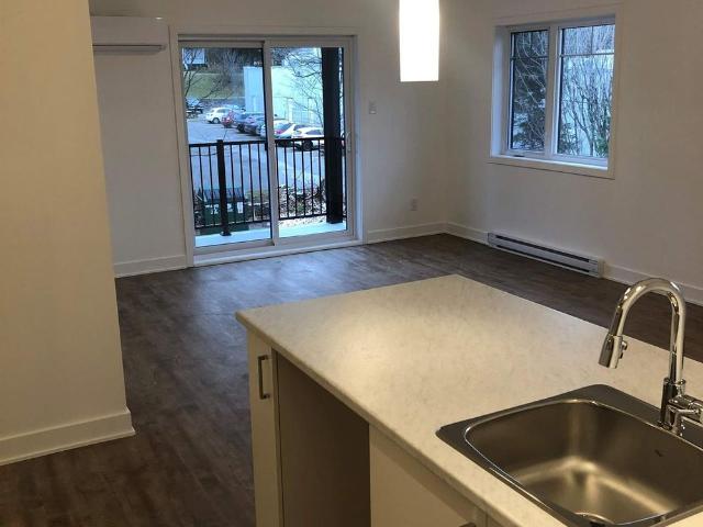 Apartment for rent in Matawinie, Quebec