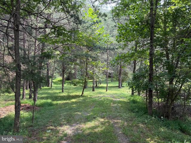 Land for sale in Hardy, West Virginia