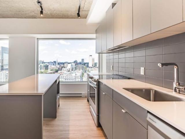 Apartment for rent in Ville-Marie, Montréal