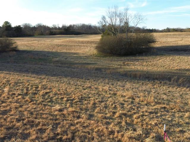 Land for sale in Grant, Alabama