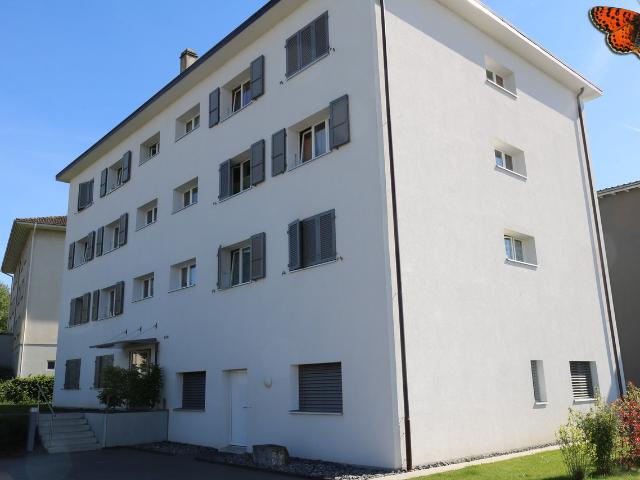 Wohnung mieten in Avenches