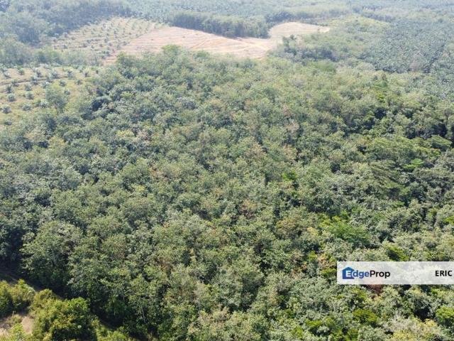 Shop for sale in Perak