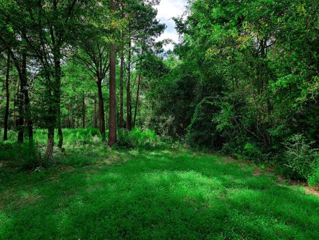Land for sale in Huntsville, Walker County