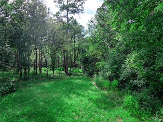 Land for sale in Texas Grand Ranch, Huntsville
