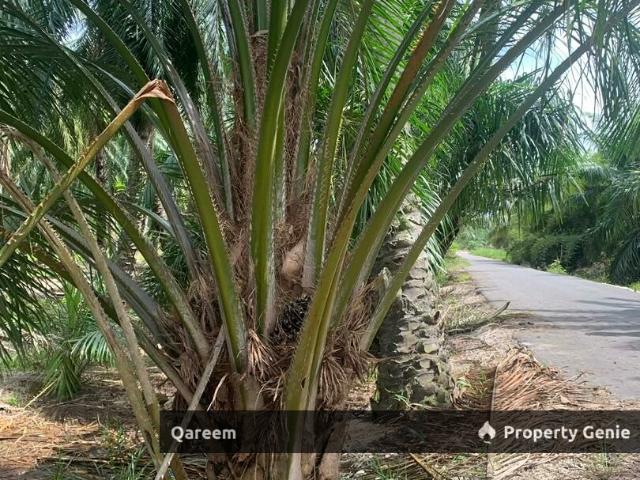Property for sale in Selangor