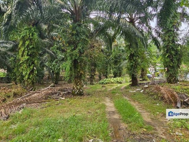 Shop for sale in Perak, Tapah
