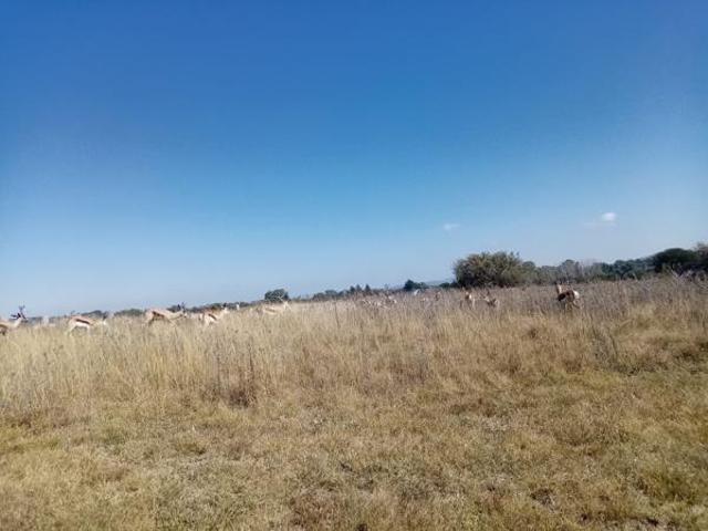 Property for sale in Parys, Ngwathe Local Municipality