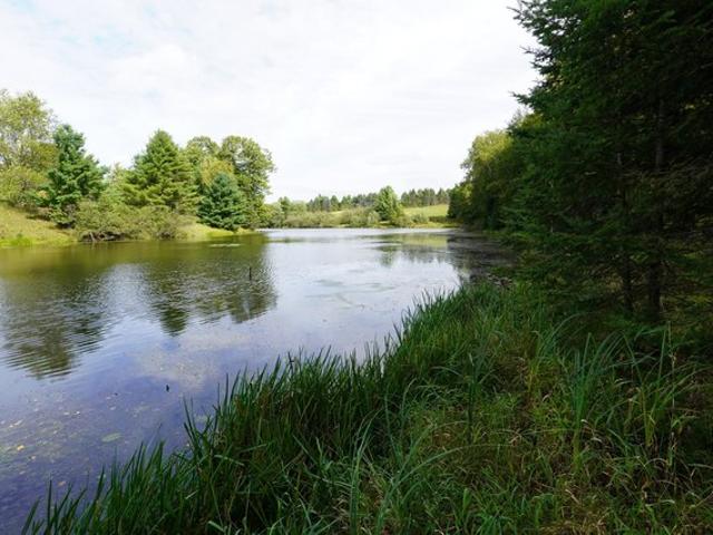 Land for sale in Medford, Taylor County
