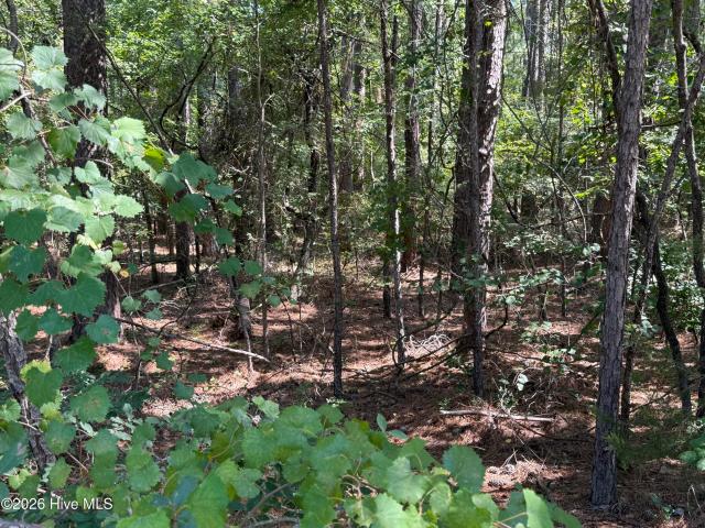 Land for sale in South Carolina