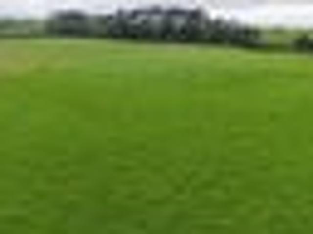 Land for sale in Karetu, Northland