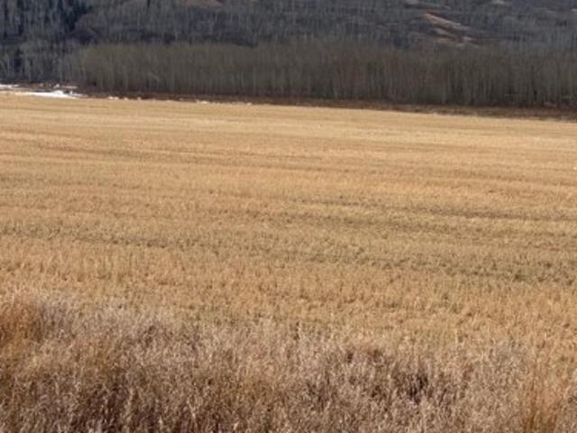 Land for sale in Alberta