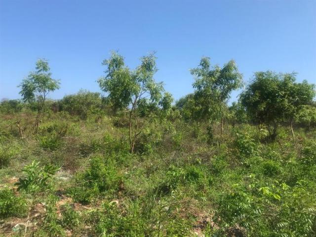 Land for sale in Msambweni, Ukunda