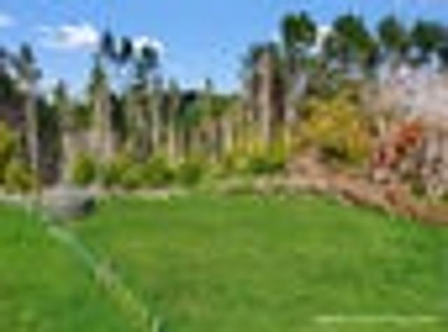 Land for sale in Ōpōtiki District, Bay of Plenty