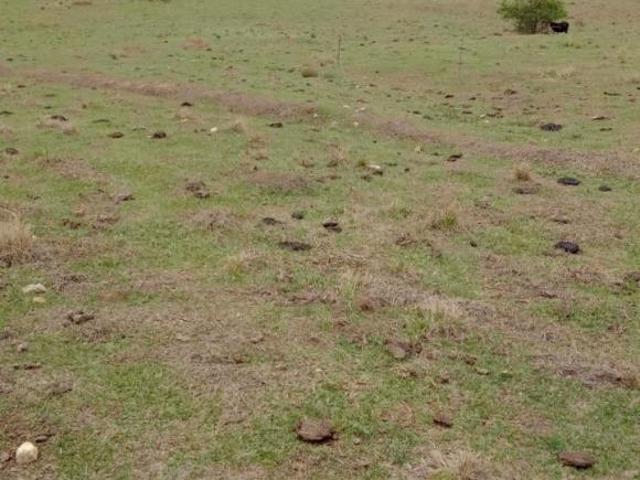Sítio e chácara venda em Centro, Cesario Lange