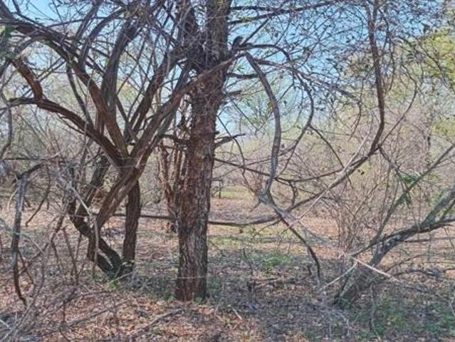 Property for sale in Ehlanzeni, Mpumalanga